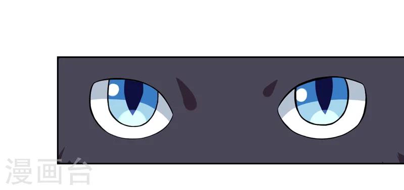 第1话 夜遇死猫？-第1话