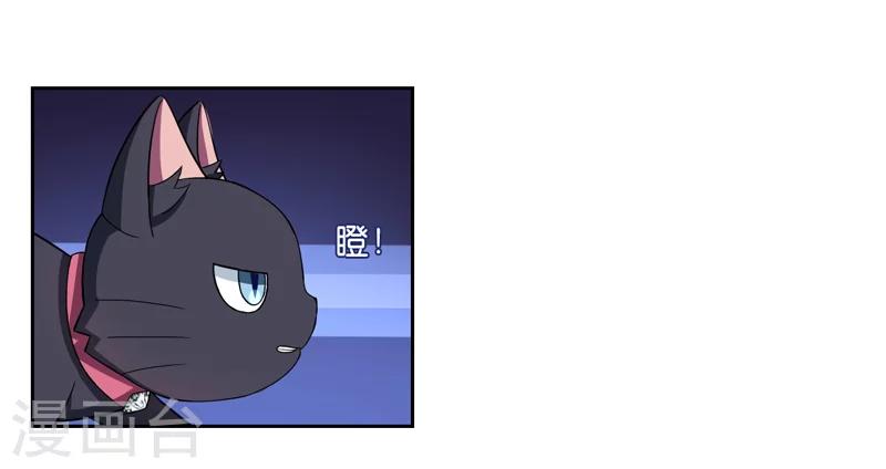 第1话 夜遇死猫？-第1话