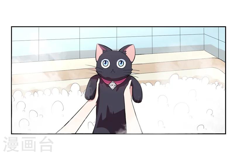 第1话 夜遇死猫？-第1话