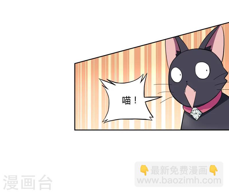 第1话 夜遇死猫？-第1话