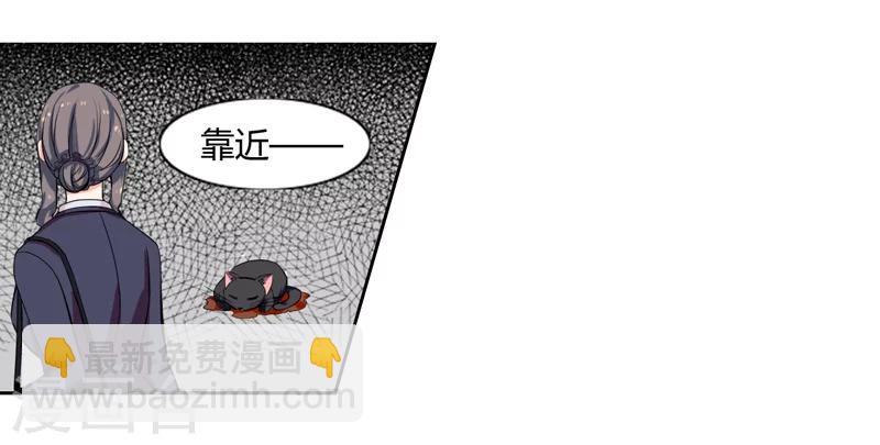 第1话 夜遇死猫？-第1话