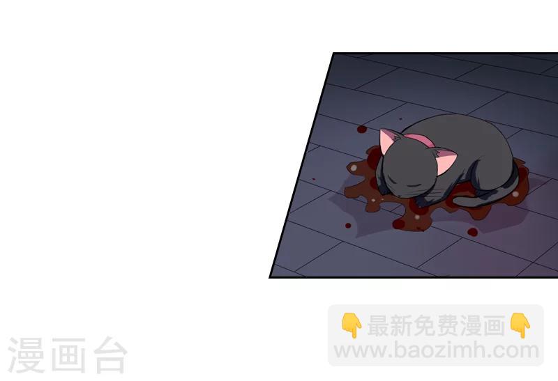 第1话 夜遇死猫？-第1话