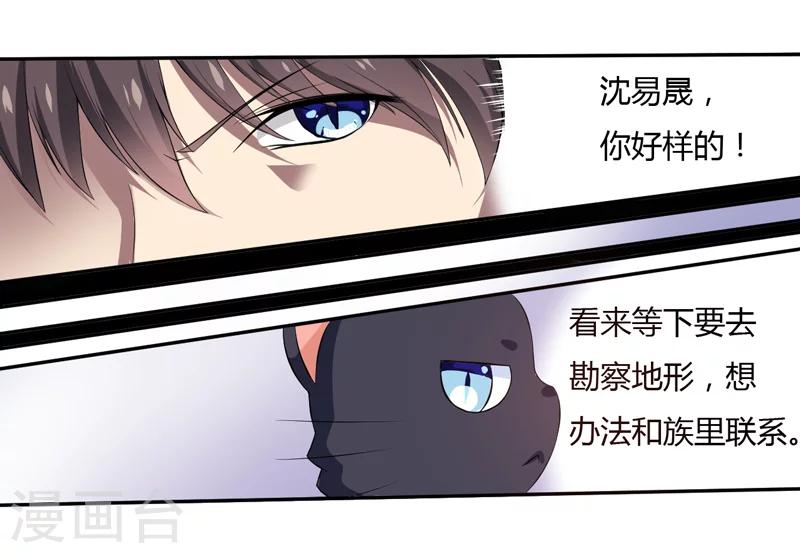 第3话 猫落平阳被犬欺-第3话