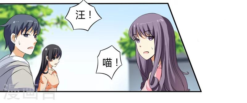 第3话 猫落平阳被犬欺-第3话