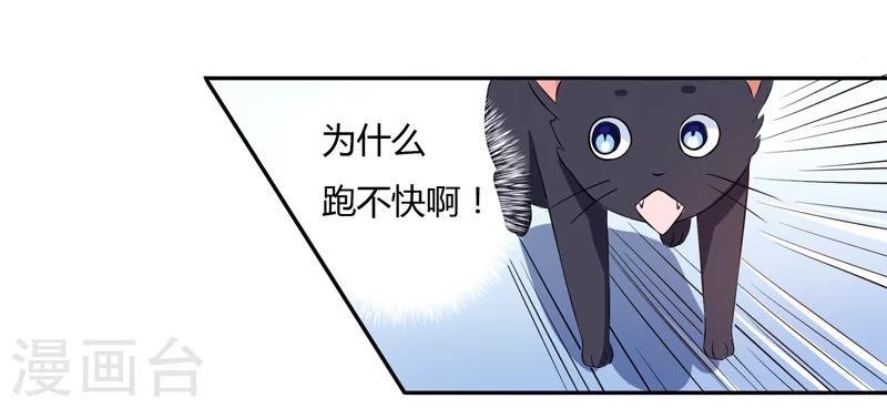 第3话 猫落平阳被犬欺-第3话