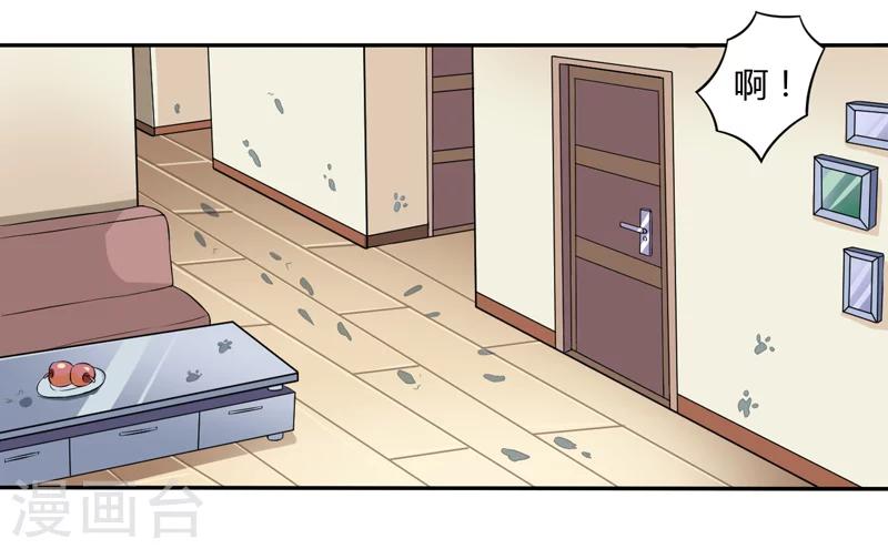 第3话 猫落平阳被犬欺-第3话