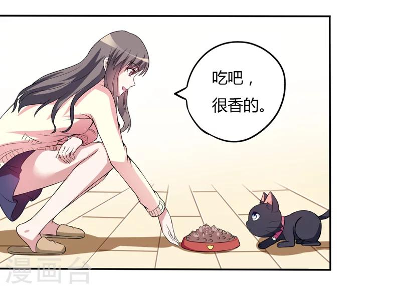 第3话 猫落平阳被犬欺-第3话