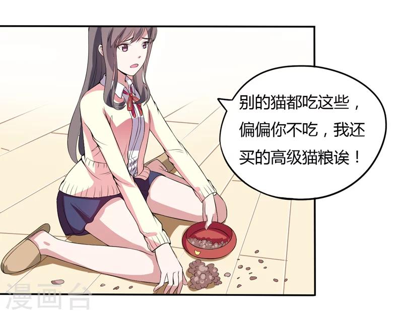 第3话 猫落平阳被犬欺-第3话