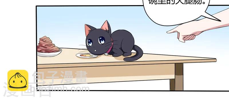 第3话 猫落平阳被犬欺-第3话