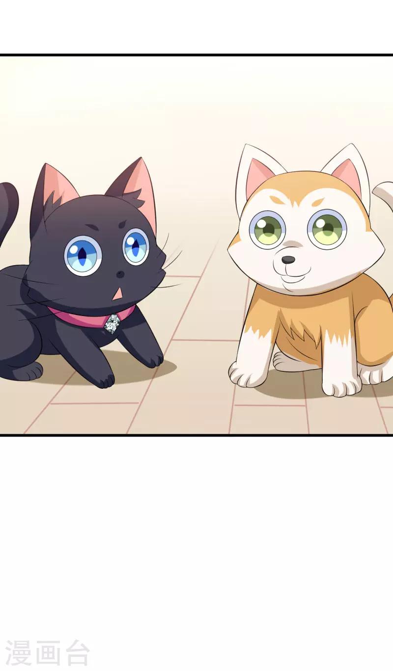 第27话 浪漫风情两日游-第27话