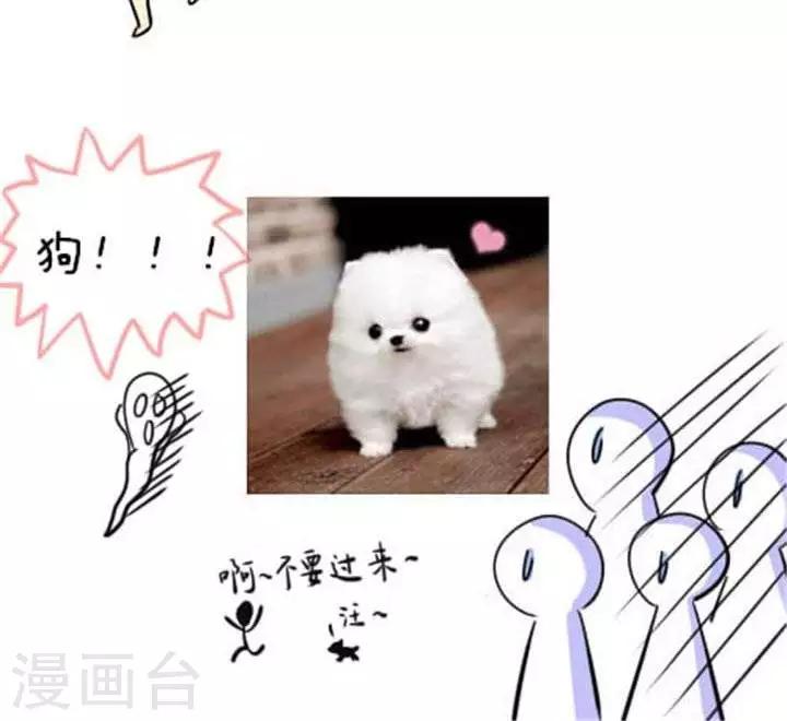 第13话  怕狗的我-第13话