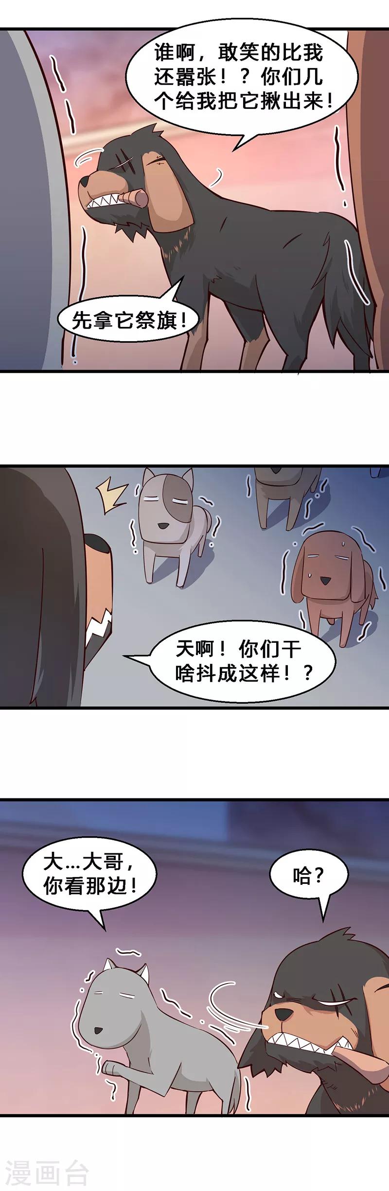 第26话 猫狗大战1-第27话