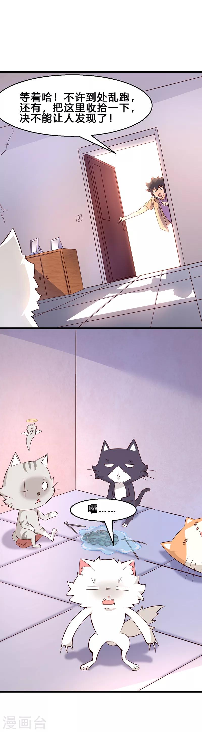 第4话 养的不是猫，是寂寞-第5话