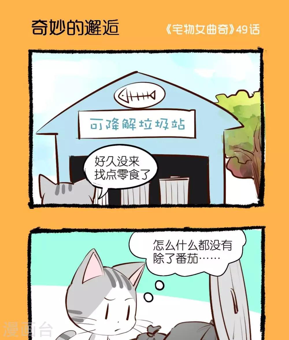 第49话  奇妙的邂逅-第49话