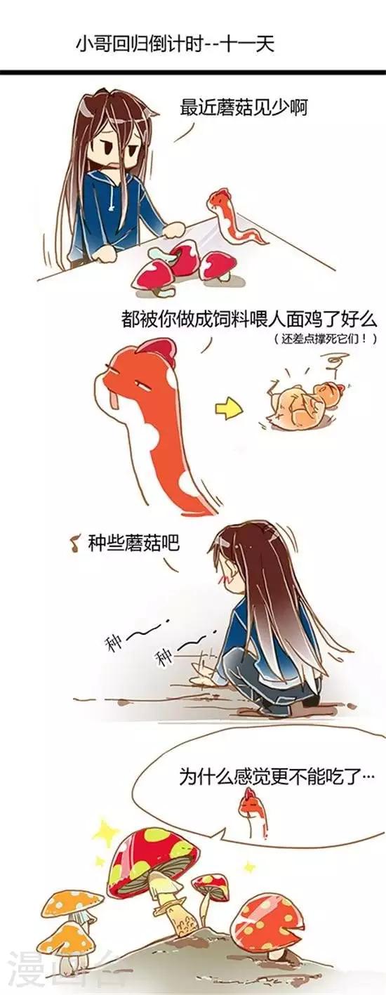 第23话 小哥回归倒计时---11天-第23话