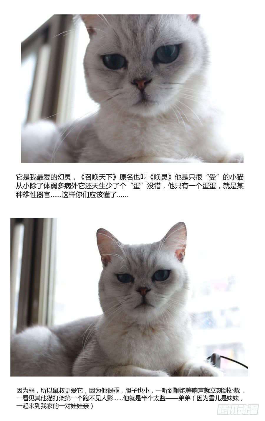 第5话 唤灵而来-第5话