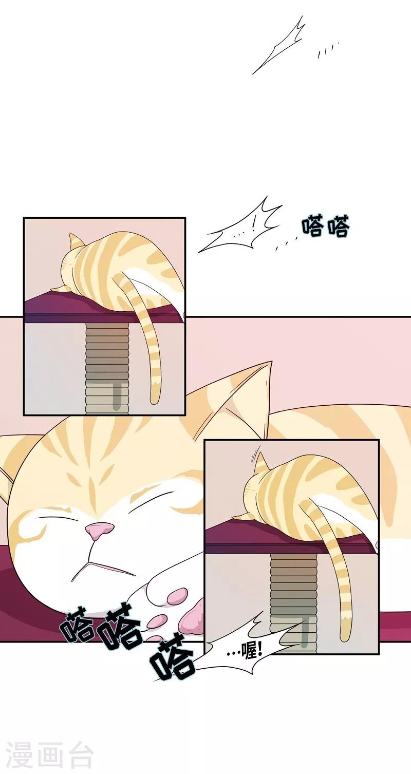 第24话 绣球11-第25话