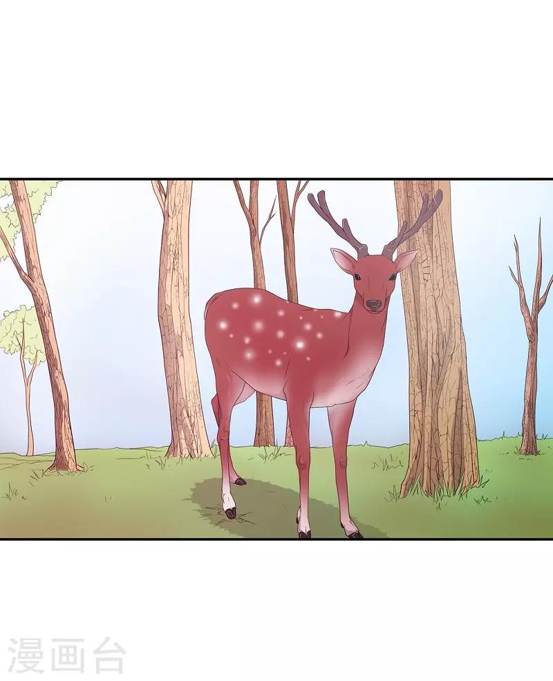 第8话 蔷薇4(1/2)-第9话