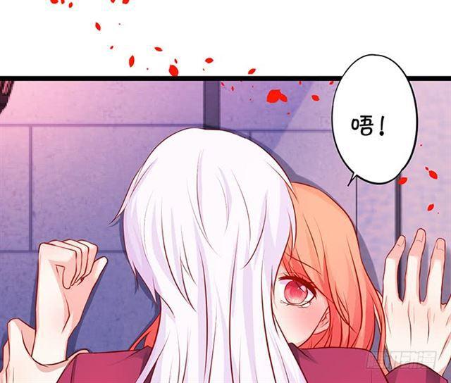 小夕，被大白强吻！(1/2)-第173话