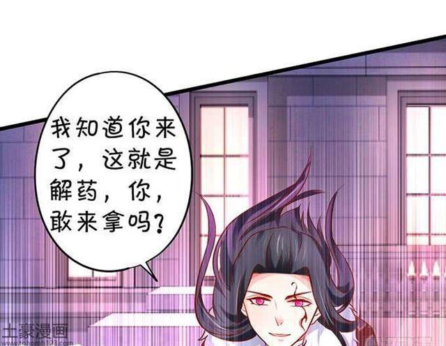 小夕，我定护你一世周全！(1/2)-第179话