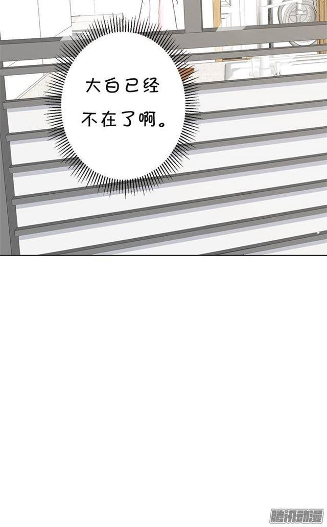 失去才懂得珍惜(1/2)-第7话