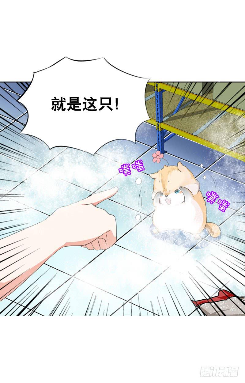 067 炙手可热的远遥-第67话