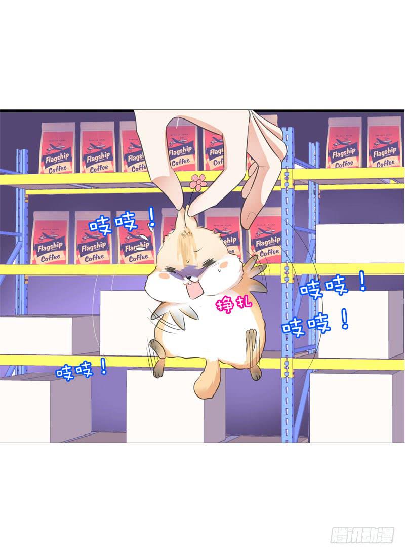 067 炙手可热的远遥-第67话