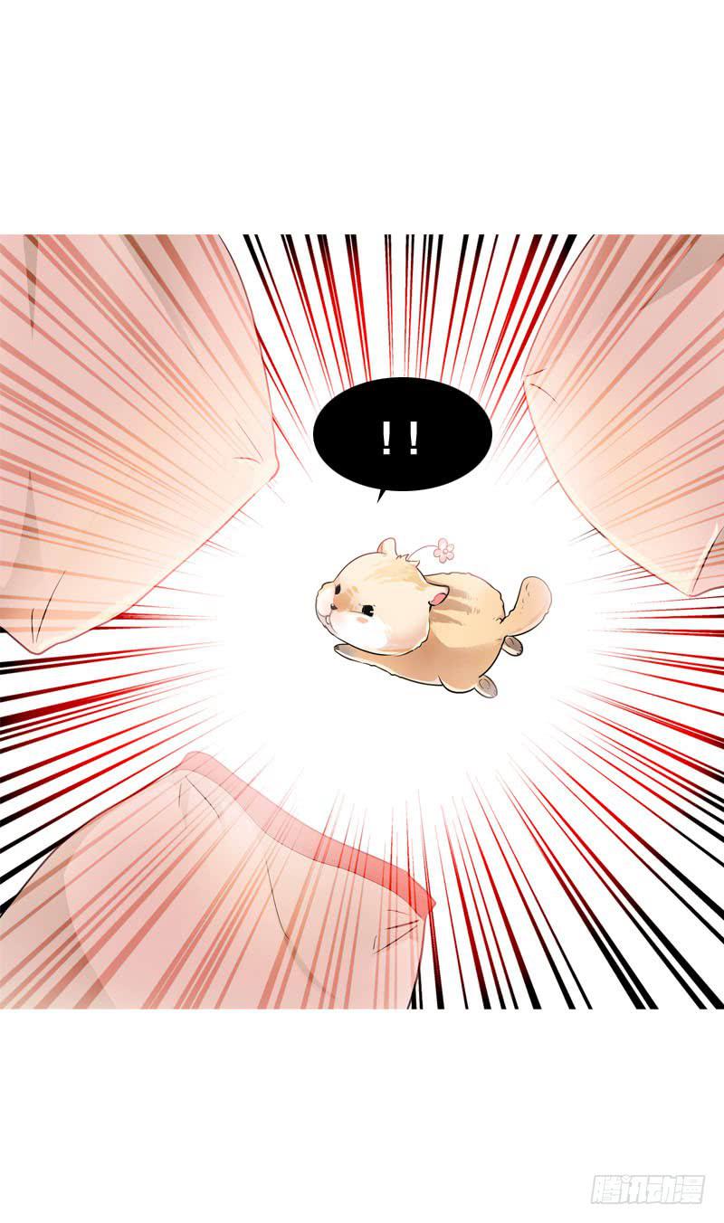 067 炙手可热的远遥-第67话