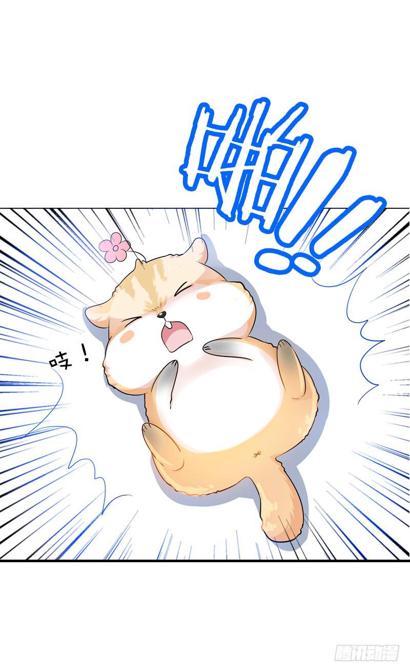 067 炙手可热的远遥-第67话