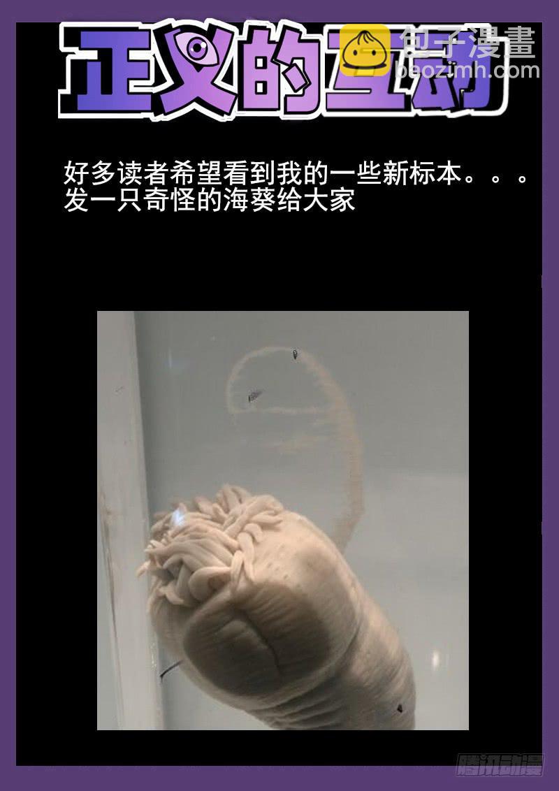 第5眼 Loser的动机-第5话