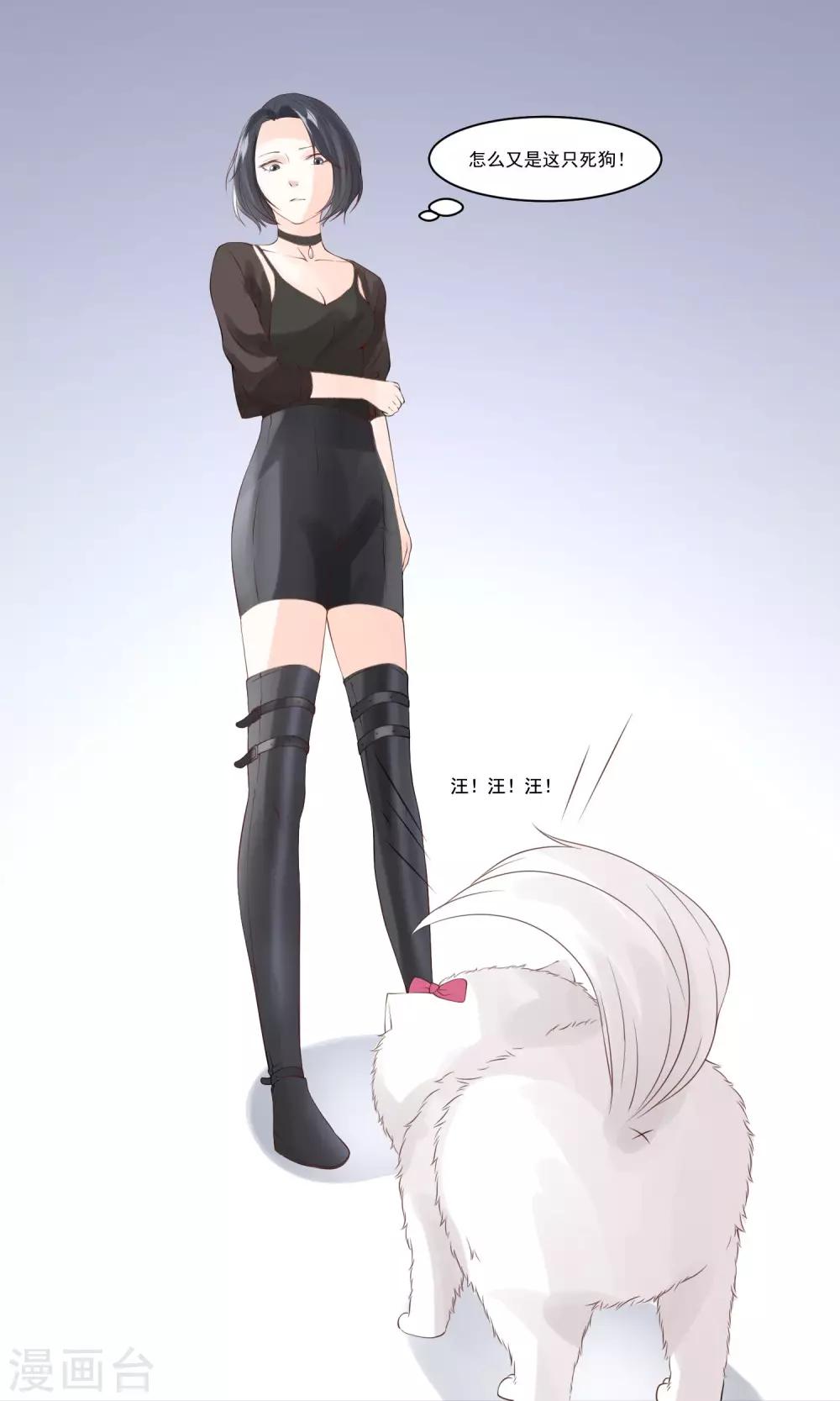 第2话 我和主人-第3话