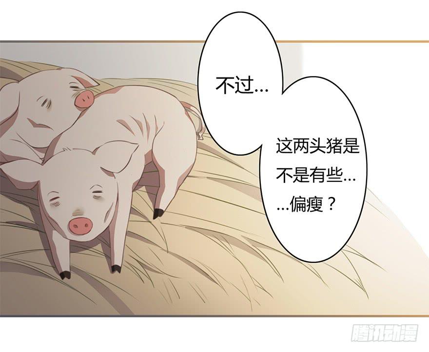 报答救命之恩的正确方式-第11话