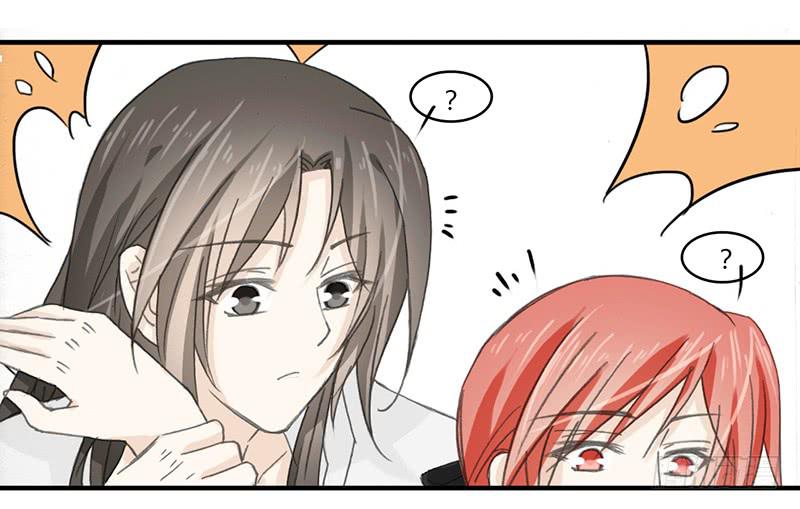 两个傻逼-第57话