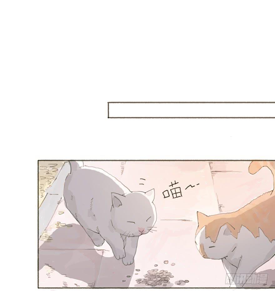 头号黑粉的觉悟-第17话