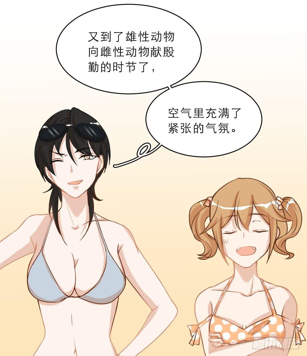 海边特辑1-第27话