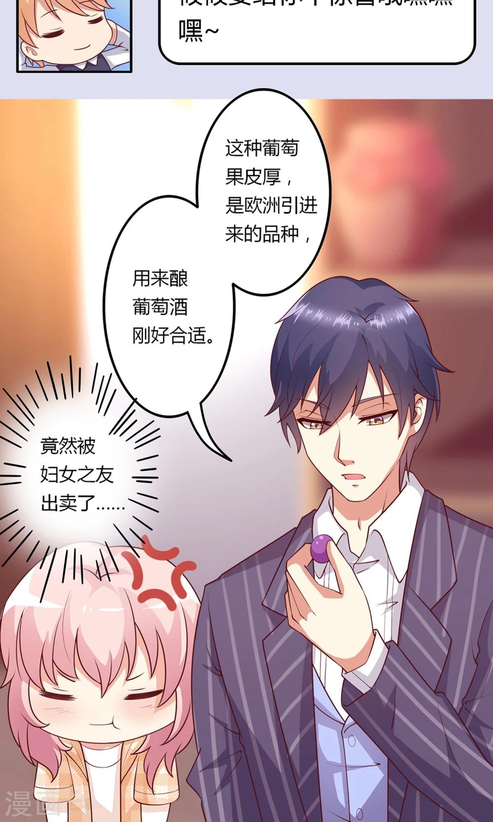 第16话 酿葡萄酒-第17话