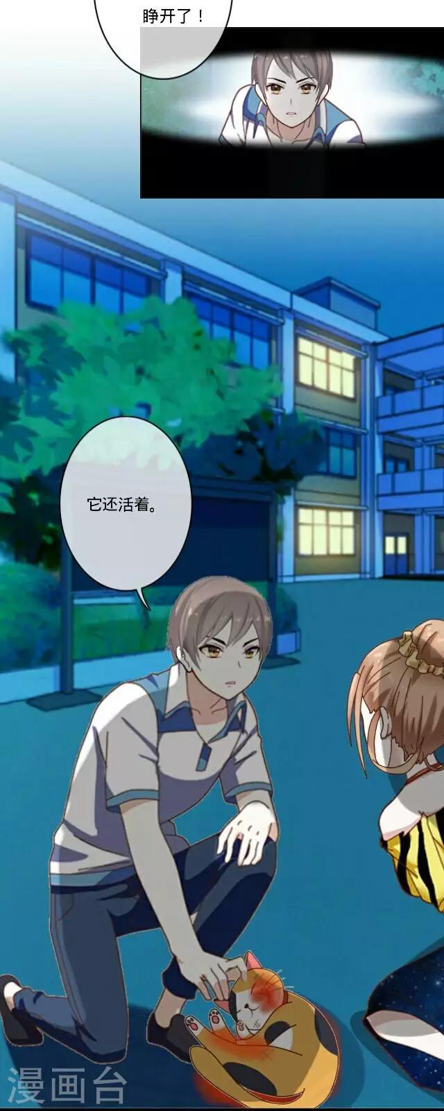 第23话 一只猫-第23话