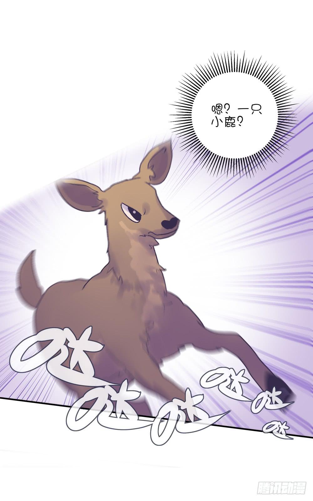小鹿乱撞(1/2)-第27话