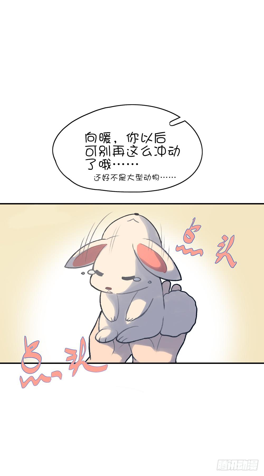 兔兔这么可爱为什么要吃兔兔-第9话