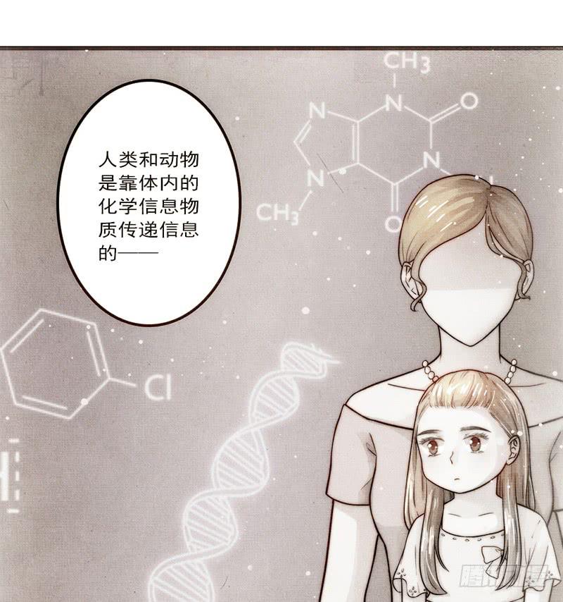 15话 论坛的邪道(1/2)-第15话