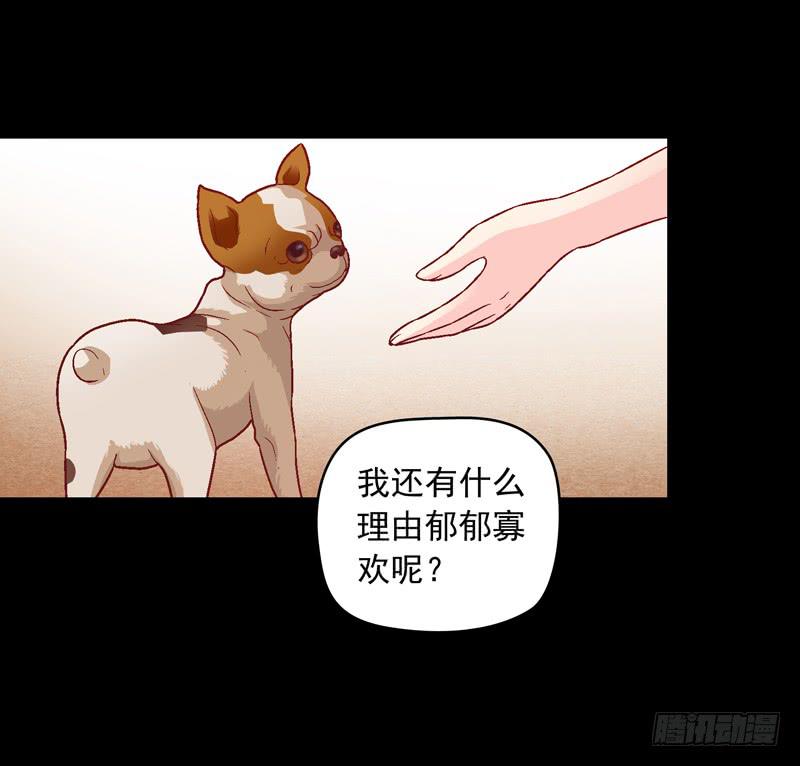 我要我的小狗狗-第17话