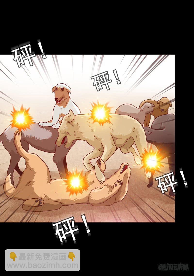 我要我的小狗狗-第17话