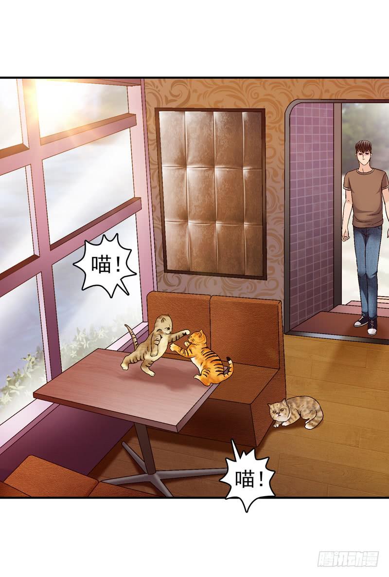 红猫爪咖啡-第35话