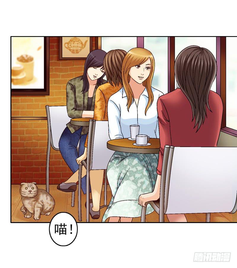 红猫爪咖啡-第35话