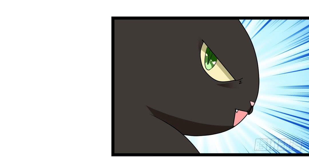 消耗战(1/2)-第13话