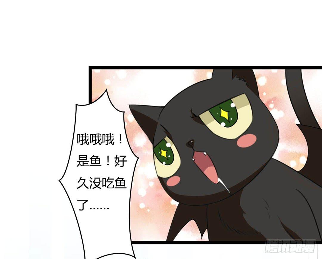 消耗战(1/2)-第13话