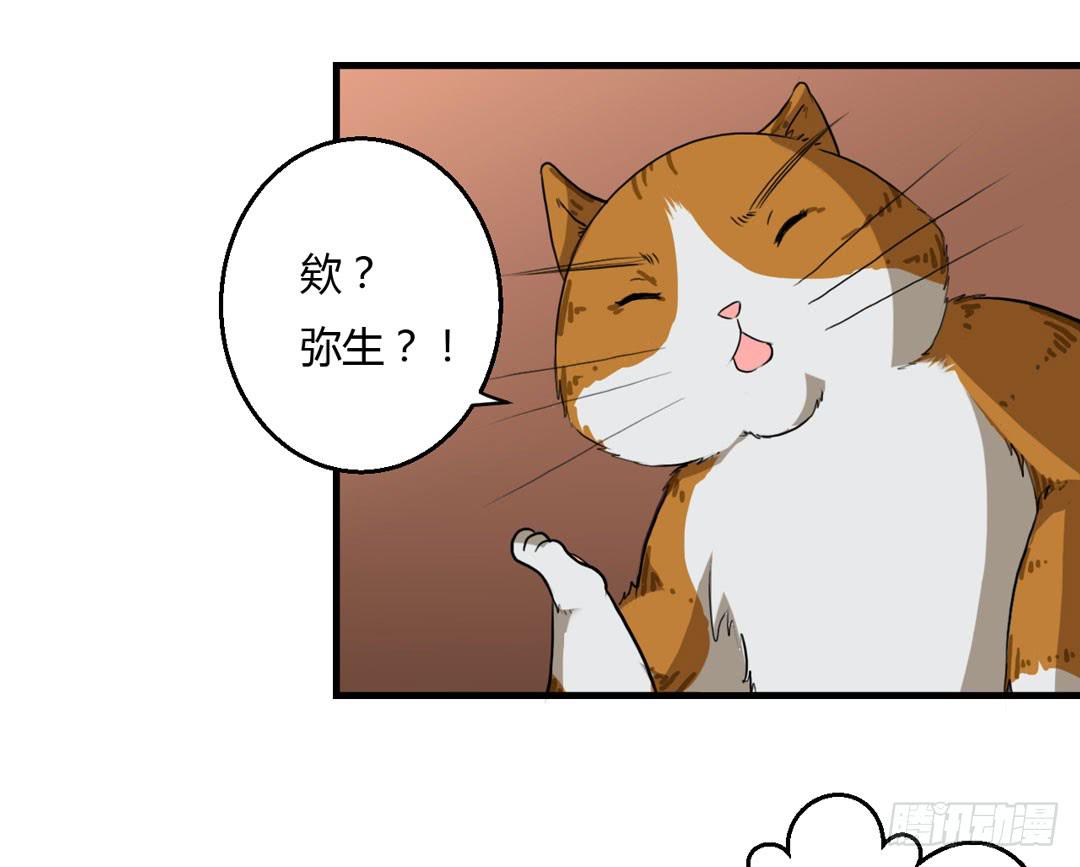 宴会开始-第25话