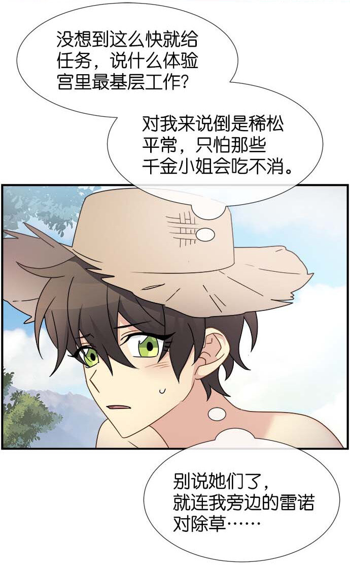 09 骑士的选择(1/2)-第9话