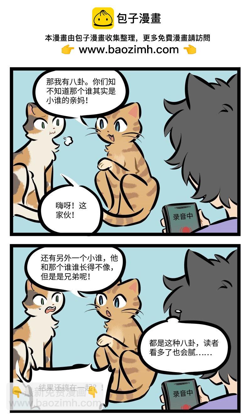 1031万圣街 - 第766话 猫猫队 - 1