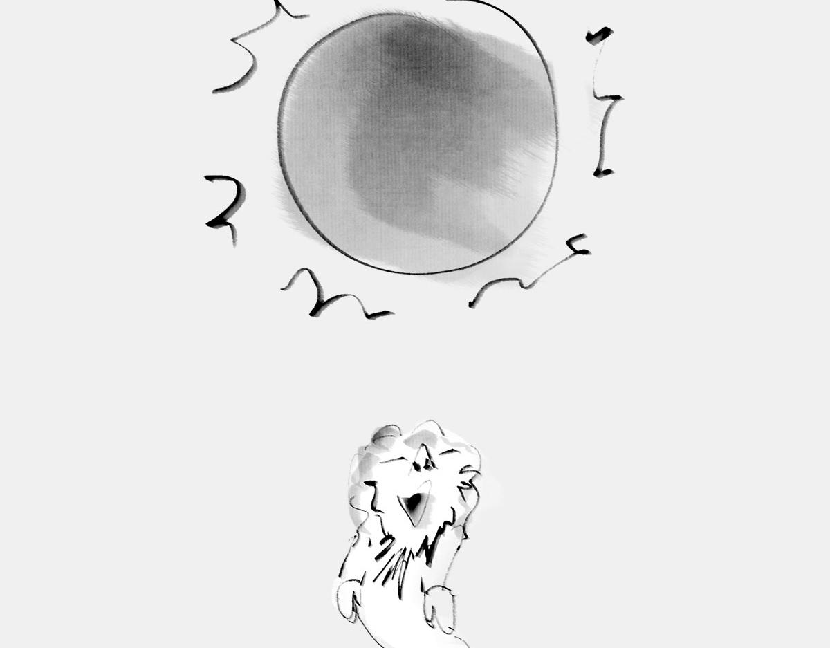 〓我就想知道，上帝究竟在想啥〓(1/2)-第27话